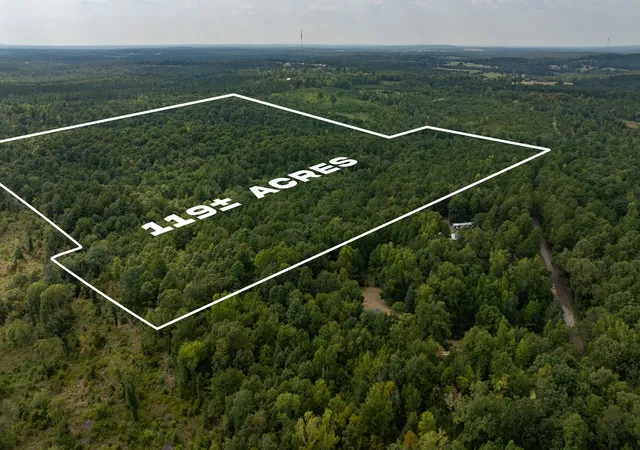 Photo 2 of Land for sale at Tbd Cr 246 S, Tyler, TX 75705 | MLS# 21337277 | Listing updated on 2026-08-12