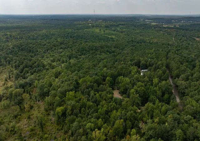 Photo 3 of Land for sale at Tbd Cr 246 S, Tyler, TX 75705 | MLS# 21337277 | Listing updated on 2026-08-12