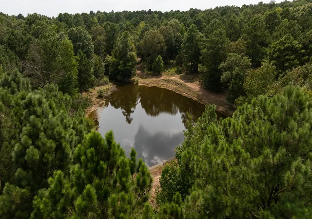 Photo 3 of Land for sale at Tbd Cr 246 S, Tyler, TX 75705 | MLS# 21337277 | Listing updated on 2026-08-12