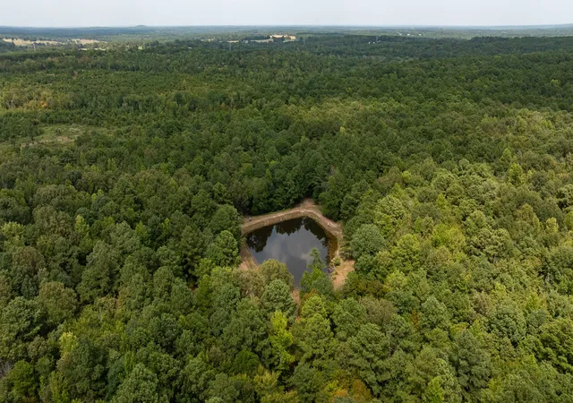 Photo 4 of Land for sale at Tbd Cr 246 S, Tyler, TX 75705 | MLS# 21337277 | Listing updated on 2026-08-12