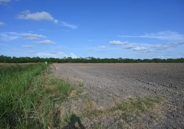 Photo 6 of Land for sale at Tbd 5 Bixby, La Feria, TX 78559 | MLS# 21357790 | Listing updated on 2026-08-12
