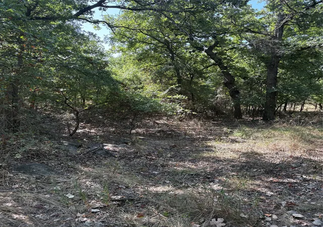 Photo 3 of Land for sale at 00 Gopher, Weatherford, TX 76088 | MLS# 21357374 | Listing updated on 2026-08-12