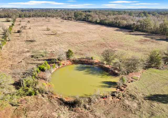 Photo 3 of Land for sale at Tbd A County Road 4840, Mount Pleasant, TX 75455 | MLS# 21355765 | Listing updated on 2026-08-13