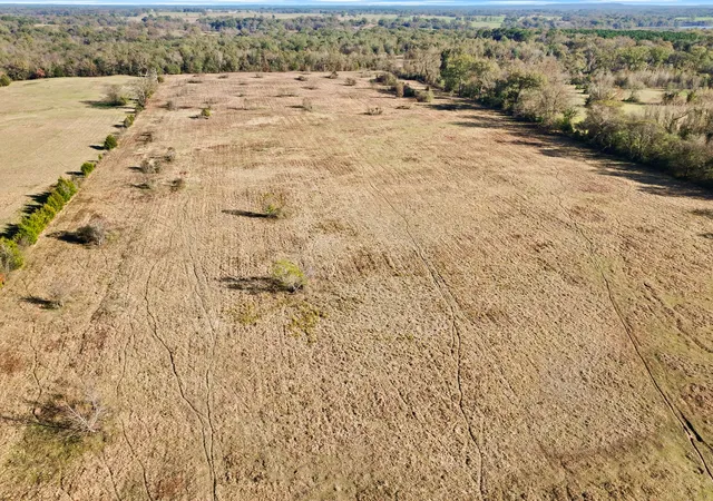 Photo 4 of Land for sale at Tbd A County Road 4840, Mount Pleasant, TX 75455 | MLS# 21355765 | Listing updated on 2026-08-13