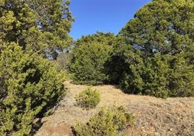 Photo 3 of Land for sale at 43094 Indian Blanket Dr, Whitney, TX 76692 | MLS# 21358187 | Listing updated on 2026-08-12