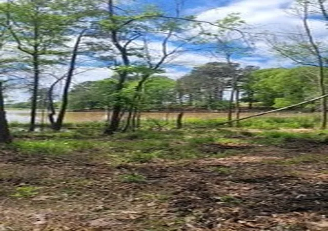 Photo 1 of Land for sale at Lot 54 White Oak Creek Ranch, Big Sandy, TX 75755 | MLS# 21356032 | Listing updated on 2026-08-13