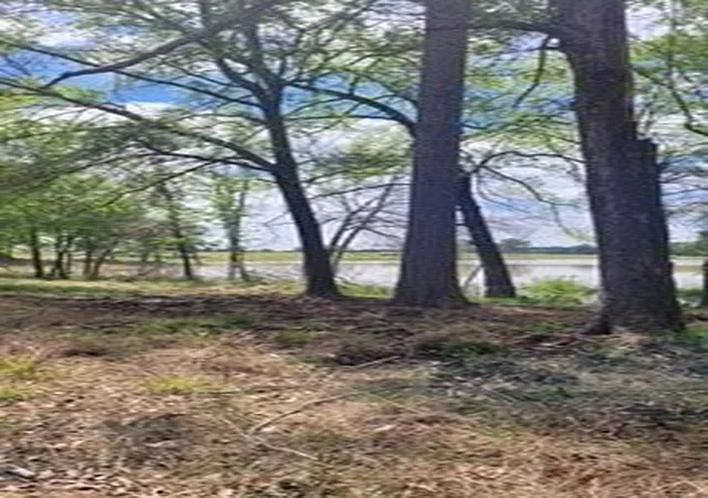 Photo 2 of Land for sale at Lot 54 White Oak Creek Ranch, Big Sandy, TX 75755 | MLS# 21356032 | Listing updated on 2026-08-13