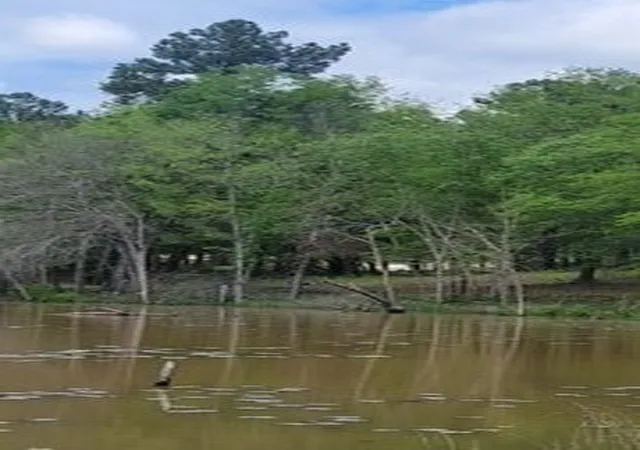 Photo 3 of Land for sale at Lot 54 White Oak Creek Ranch, Big Sandy, TX 75755 | MLS# 21356032 | Listing updated on 2026-08-13