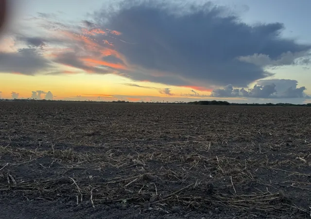 Photo 10 of Land for sale at Tbd 2 Mile 3 East Rd, La Feria, TX 78570 | MLS# 21358437 | Listing updated on 2026-08-13