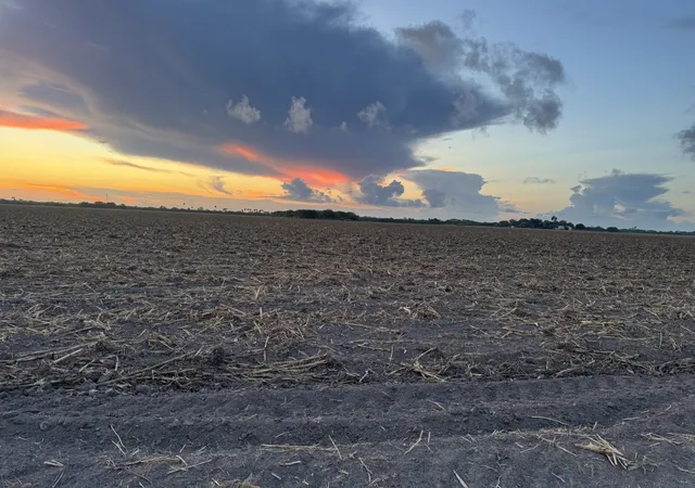 Photo 1 of Land for sale at Tbd 2 Mile 3 East Rd, La Feria, TX 78570 | MLS# 21358437 | Listing updated on 2026-08-13
