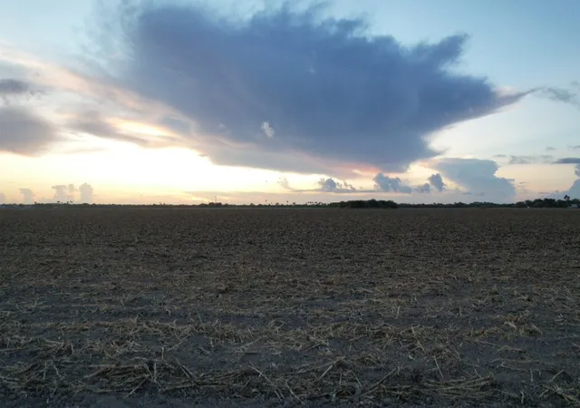 Photo 2 of Land for sale at Tbd 2 Mile 3 East Rd, La Feria, TX 78570 | MLS# 21358437 | Listing updated on 2026-08-13