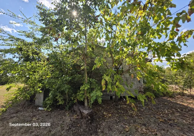 Photo 2 of Single family home for sale at 973 Cr 1695, Mount Pleasant, TX 75455 | MLS# 21357416 | Listing updated on 2026-09-05