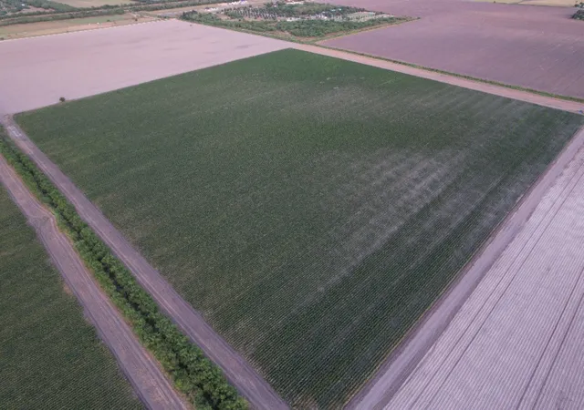 Photo 2 of Land for sale at Tbd 3 Mile 3 East Rd, Mercedes, TX 78570 | MLS# 21358462 | Listing updated on 2026-08-13