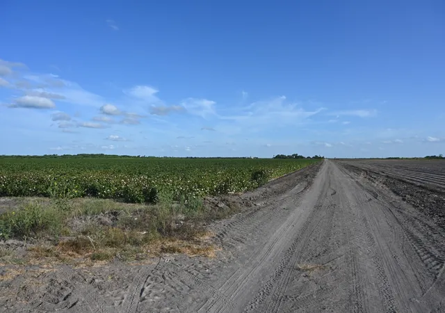 Photo 4 of Sale Pending at Tbd-3 Mile 3 East Rd, Mercedes, TX 78570 | MLS# 21358462 | Listing updated on 2026-09-16