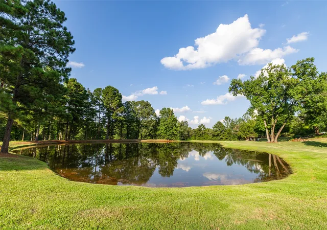 Photo 37 of Single family home for sale at 325 Young Rd, Hallsville, TX 75650 | MLS# 21358996 | Listing updated on 2026-08-17