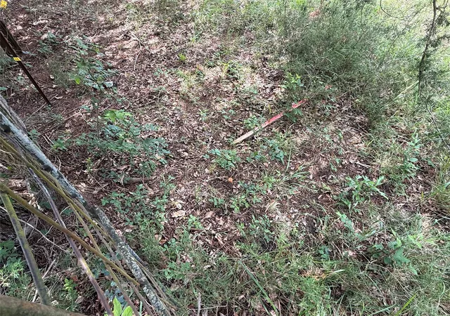 Photo 4 of Land for sale at 970 Fcr, Wortham, TX 76693 | MLS# 21358991 | Listing updated on 2026-08-27