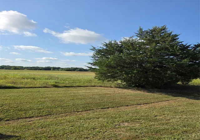 Photo 3 of Land for sale at 0000 Fm 36, Farmersville, TX 75442 | MLS# 21359169 | Listing updated on 2026-08-13