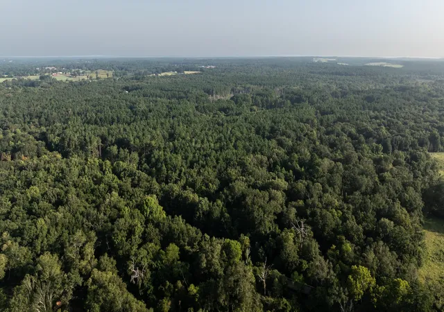 Land for sale at Tbd Cr 461, Laneville, TX 75667 | MLS# 21337099
