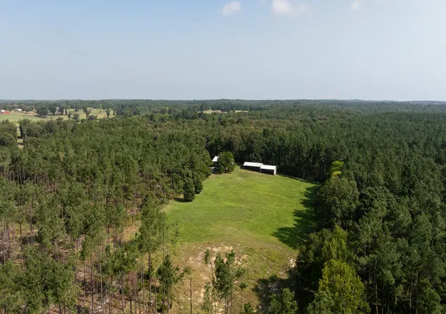 Photo 2 of Land for sale at Tbd Cr 461, Laneville, TX 75667 | MLS# 21337099 | Listing updated on 2026-08-14