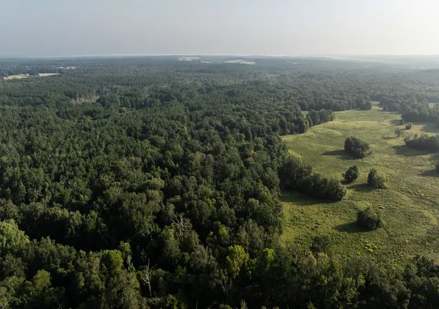 Photo 3 of Land for sale at Tbd Cr 461, Laneville, TX 75667 | MLS# 21337099 | Listing updated on 2026-08-14