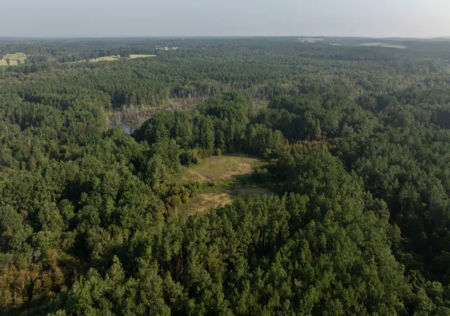 Photo 3 of House for sale at Tbd Cr 461, Laneville, TX 75667 | MLS# 21337099 | Listing updated on 2026-08-14