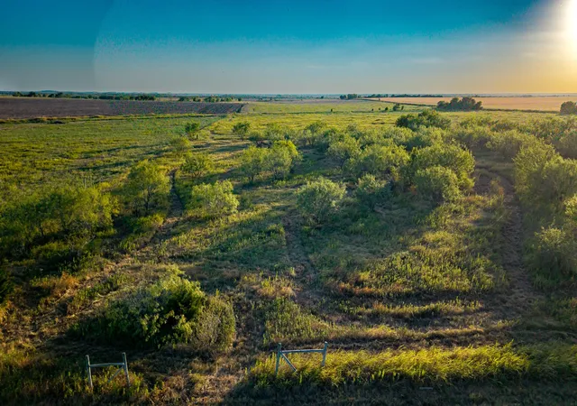 Photo 1 of Land for sale at 0000 Fm 984, Avalon, TX 76623 | MLS# 21358676 | Listing updated on 2026-09-04