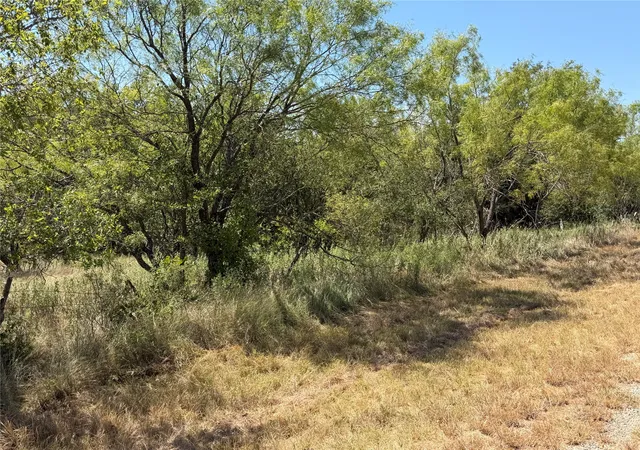 Photo 3 of Land for sale at 28 County Road 417, May, TX 76857 | MLS# 21359314 | Listing updated on 2026-08-14