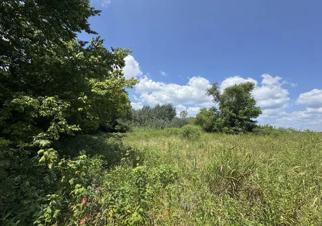 Photo 2 of Land for sale at 7425 Fm 114, Clarksville, TX 75426 | MLS# 21351094 | Listing updated on 2026-08-15