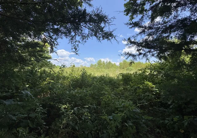 Photo 3 of Land for sale at 7425 Fm 114, Clarksville, TX 75426 | MLS# 21351094 | Listing updated on 2026-08-15
