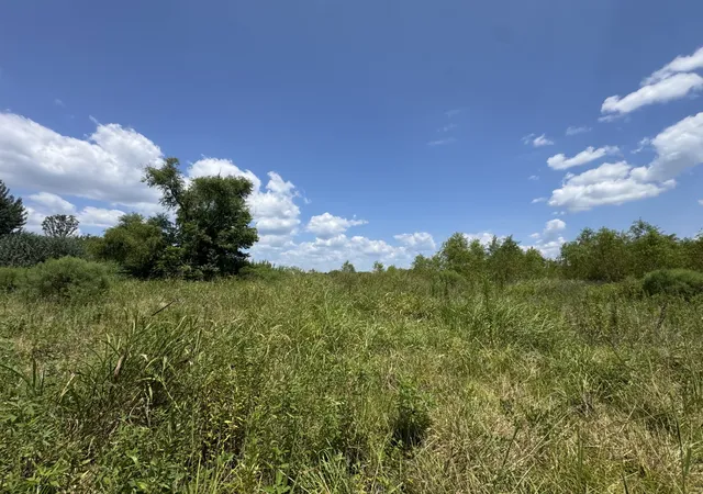 Photo 3 of Land for sale at 7425 Fm 114, Clarksville, TX 75426 | MLS# 21351094 | Listing updated on 2026-08-15