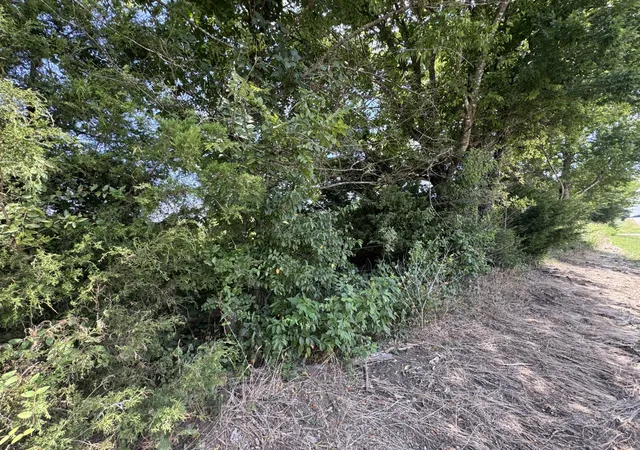 Photo 4 of Land for sale at 7425 Fm 114, Clarksville, TX 75426 | MLS# 21351094 | Listing updated on 2026-08-15