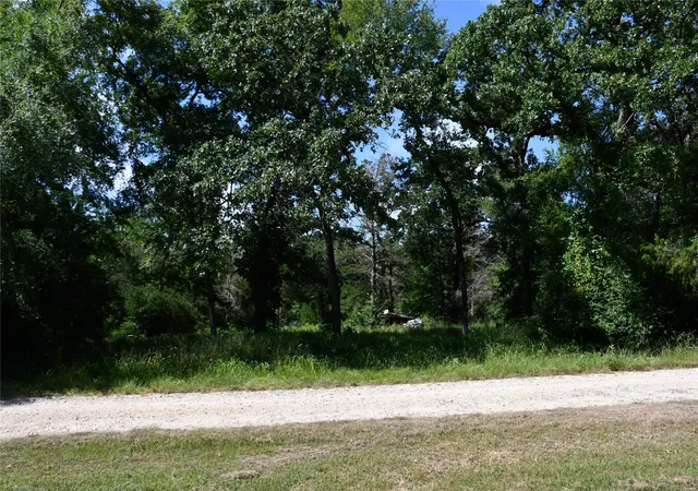 Photo 4 of Land for sale at 14 Lcr 895, Jewett, TX 75846 | MLS# 21359966 | Listing updated on 2026-08-15