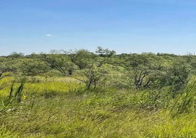 Photo 2 of Land for sale at 912 O D Ln, Coleman, TX 76834 | MLS# 21360131 | Listing updated on 2026-08-15