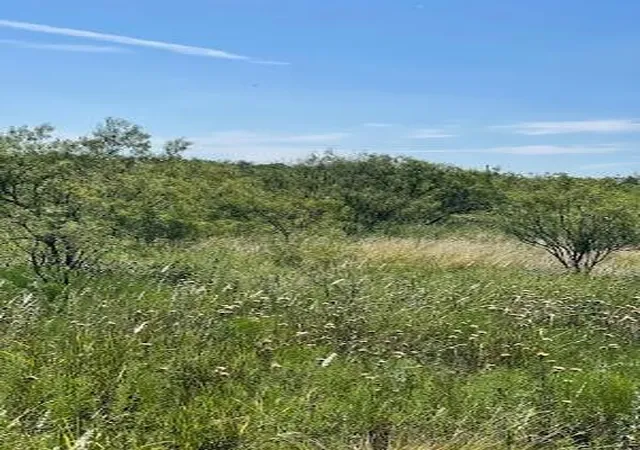Photo 3 of Land for sale at 912 O D Ln, Coleman, TX 76834 | MLS# 21360131 | Listing updated on 2026-08-15
