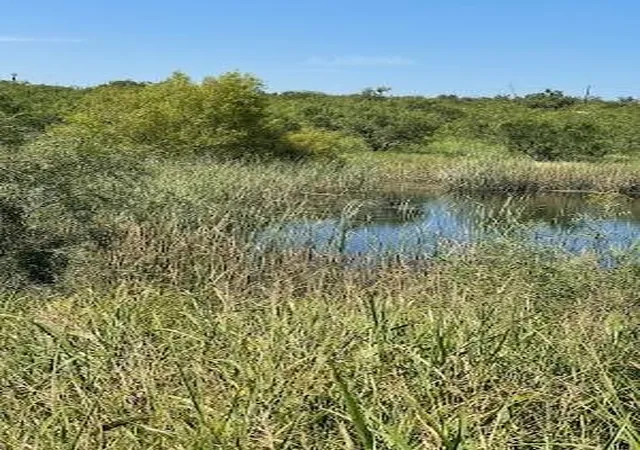 Photo 3 of Land for sale at 912 O D Ln, Coleman, TX 76834 | MLS# 21360131 | Listing updated on 2026-08-15