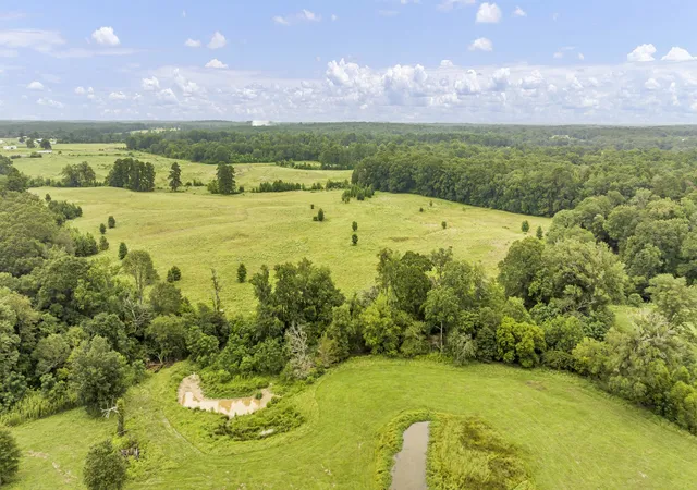Photo 3 of Land for sale at Tbd County Road 435, No City, TX 75974 | MLS# 21360307 | Listing updated on 2026-08-25