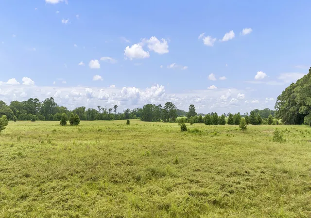 Photo 3 of Land for sale at Tbd County Road 435, No City, TX 75974 | MLS# 21360307 | Listing updated on 2026-08-25