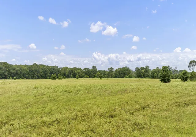 Photo 4 of Land for sale at Tbd County Road 435, No City, TX 75974 | MLS# 21360307 | Listing updated on 2026-08-25