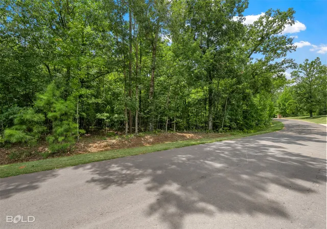 Photo 3 of Land for sale at 140 Oak Leaf Trl, Benton, LA 71006 | MLS# 21351670 | Listing updated on 2026-08-15