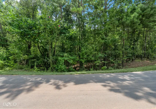 Photo 2 of Land for sale at 150 Oak Leaf Trl, Benton, LA 71006 | MLS# 21354952 | Listing updated on 2026-08-15