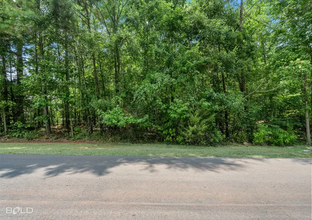 Photo 3 of Land for sale at 150 Oak Leaf Trl, Benton, LA 71006 | MLS# 21354952 | Listing updated on 2026-08-15