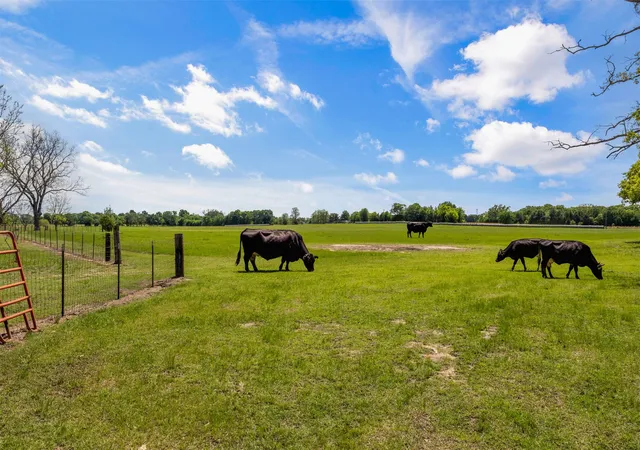 Photo 2 of Land for sale at 00 B Vz County Road 3208, Wills Point, TX 75169 | MLS# 21360290 | Listing updated on 2026-08-15