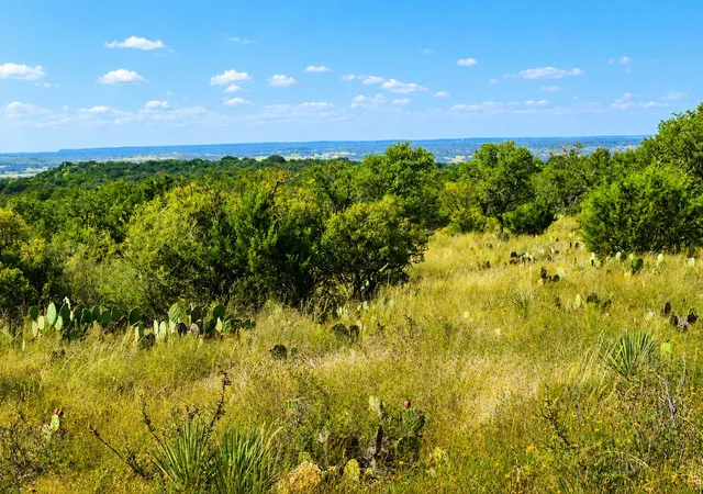 Photo 2 of House for sale at TX | (Undisclosed),TX 76887 | MLS# 21360433 | Listing updated on 2026-10-01