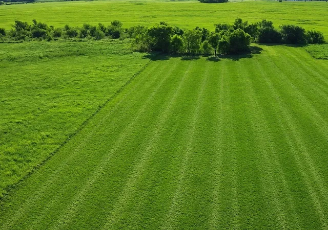 Photo 1 of Land for sale at 19 County Road 2200, Pecan Gap, TX 75469 | MLS# 21360486 | Listing updated on 2026-08-20