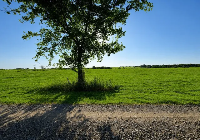 Photo 2 of Land for sale at 19 County Road 2200, Pecan Gap, TX 75469 | MLS# 21360486 | Listing updated on 2026-08-20