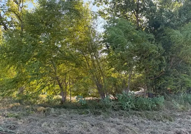 Photo 3 of Land for sale at 19 County Road 2200, Pecan Gap, TX 75469 | MLS# 21360486 | Listing updated on 2026-08-20