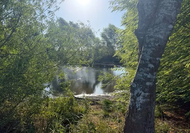 Photo 4 of Land for sale at 19 County Road 2200, Pecan Gap, TX 75469 | MLS# 21360486 | Listing updated on 2026-08-20