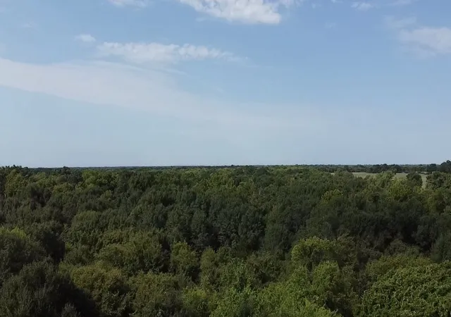 Photo 1 of Land for sale at Tbd County Road 314, Terrell, TX 75161 | MLS# 21360740 | Listing updated on 2026-08-17