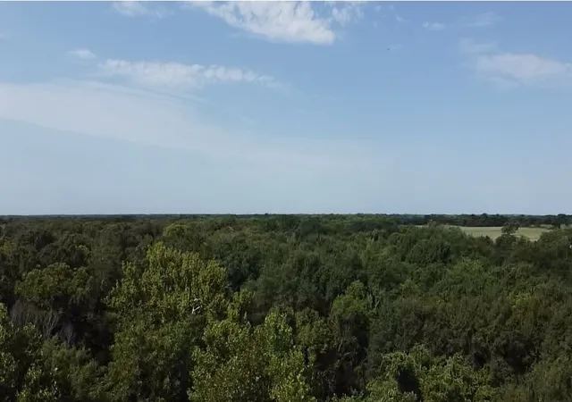 Photo 3 of Land for sale at Tbd County Road 314, Terrell, TX 75161 | MLS# 21360740 | Listing updated on 2026-08-17