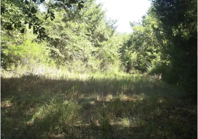 Photo 3 of Land for sale at Tbd County Road 314, Terrell, TX 75161 | MLS# 21360740 | Listing updated on 2026-08-17